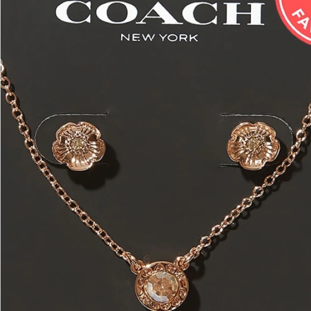 Coach Rose Gold Earrings & Necklace Set